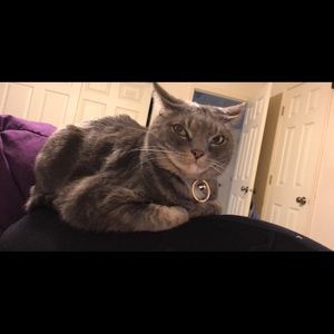 Meet your Posher, Ariel